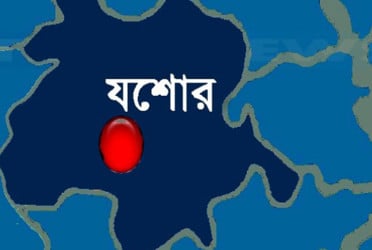 যশোরে সাপের কামড়ে ভাইয়ের মৃত্যু, বোন হাসপাতালে