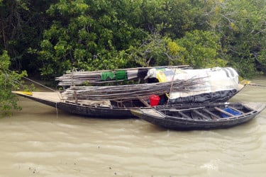 নিষেধাজ্ঞা উঠতেই হাজার জেলে সুন্দরবনে