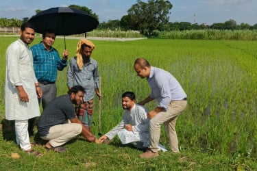 বজ্রপাত থেকে প্রাণহানি রোধে মনোহরদীতে বসুন্ধরা শুভসংঘের তালবীজ রোপণ কর্মসূচি
