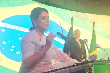 উচ্চাভিলাষী জলবায়ু পদক্ষেপে বাংলাদেশ-ব্রাজিল ঘনিষ্ঠভাবে কাজ করবে: পরিবেশ উপদেষ্টা