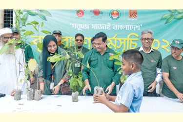 বৃক্ষরোপণ কর্মসূচি পালন