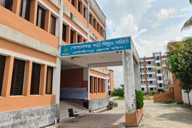 কোটালীপাড়ায় গণছুটিতে পল্লী বিদ্যুতের ৫১ কর্মী, ভোগান্তি চরমে