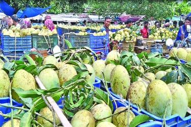 এখনো জমজমাট আমের বাজার