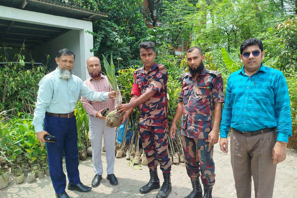 তাল-বেল-নিমে সাজবে প্রকৃতি