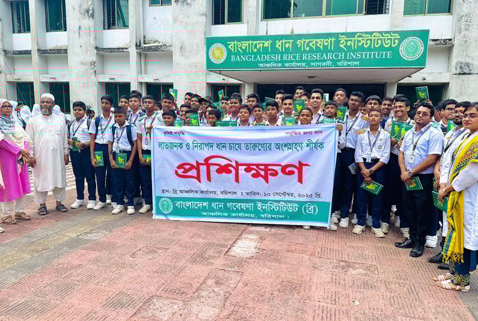 বরিশালে ধান চাষে তরুণদের প্রশিক্ষণ