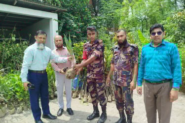 তাল-বেল-নিমে সাজবে প্রকৃতি