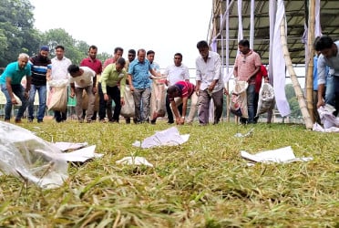 সম্মেলনস্থল নিজেরাই পরিষ্কার করছে ঠাকুরগাঁও বিএনপি