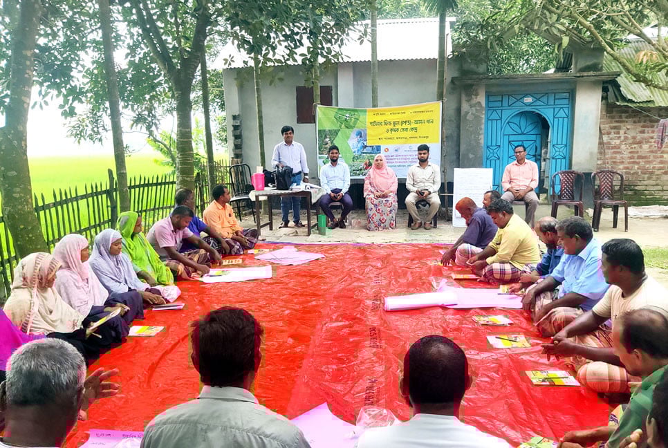 দিনাজপুরে মাঠেই কৃষকের পাঠশালা, আধুনিক কৃষিতে বাড়ছে দক্ষতা
