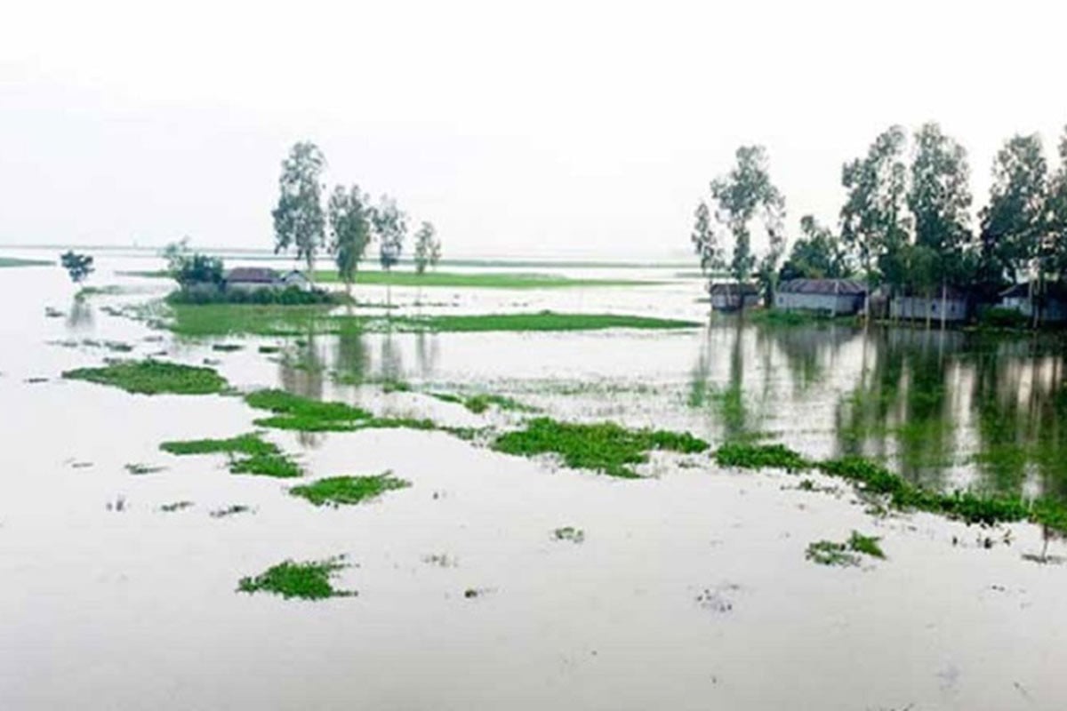 আগামী তিন দিনে তিস্তা, ধরলা ও দুধকুমার নদীর পানি বিপৎসীমা অতিক্রম করতে পারে