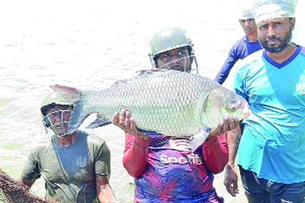 হেলমেট পরে মাছ ধরেন জেলেরা
