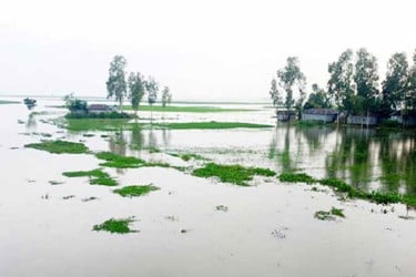 আগামী তিন দিনে তিস্তা, ধরলা ও দুধকুমার নদীর পানি বিপৎসীমা অতিক্রম করতে পারে