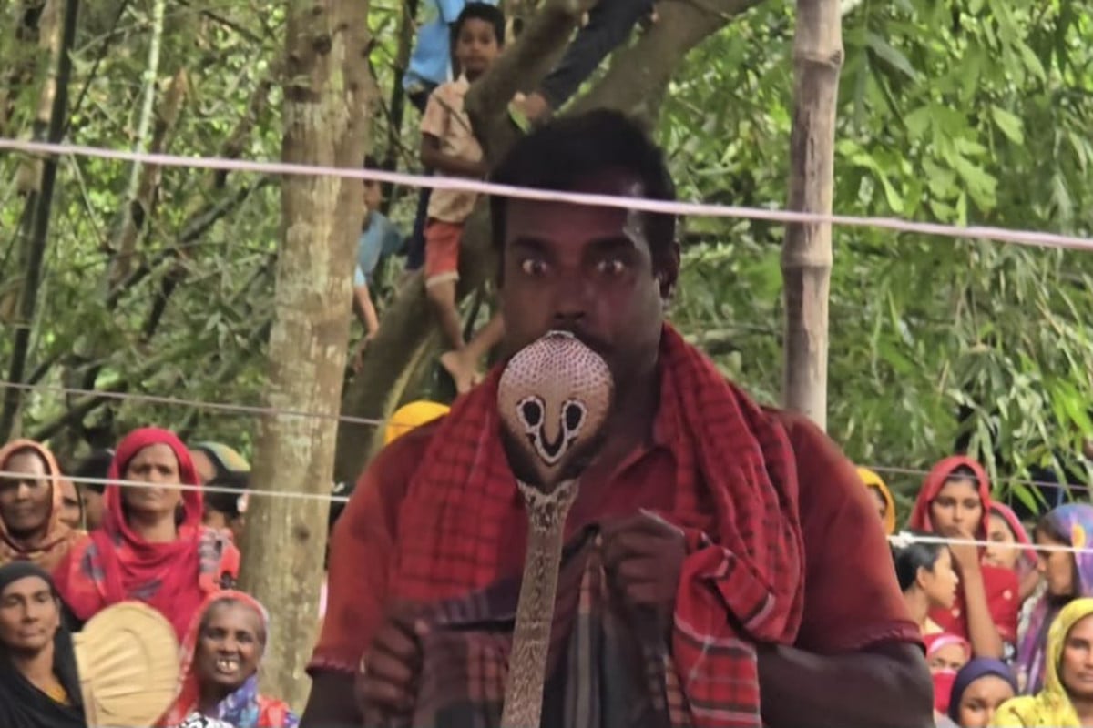 কুষ্টিয়ায় গ্রাম বাংলার ঐতিহ্যবাহী ঝাপান খেলার আয়োজন