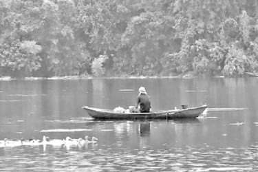 কোল ইজারা নিয়ে বিপাকে