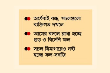 কৃষকের কাজেই লাগছে না মিনি হিমাগারগুলো