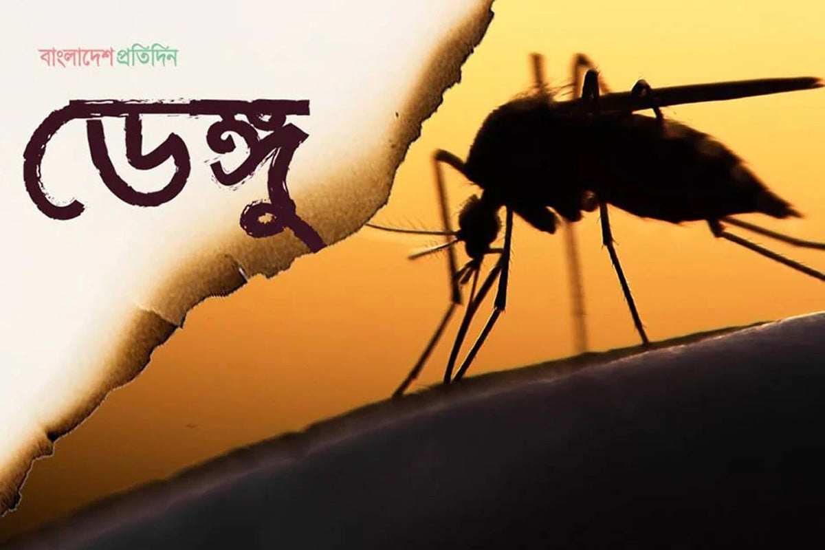 ডেঙ্গুতে আরও ৩ জনের মৃত্যু