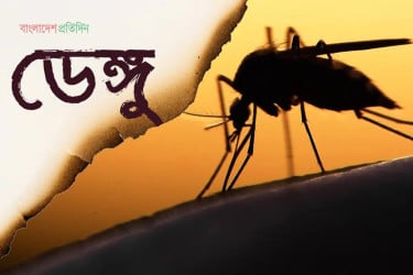 ডেঙ্গুতে আরও ৩ জনের মৃত্যু