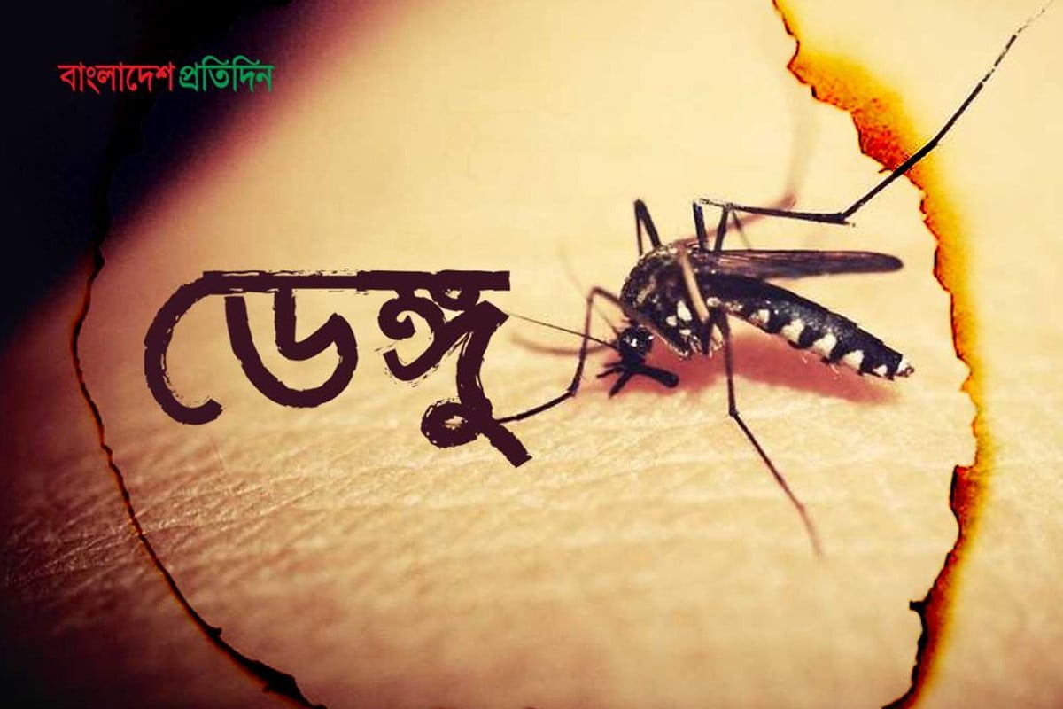 বরিশালে ডেঙ্গুতে ২ জনের মৃত্যু