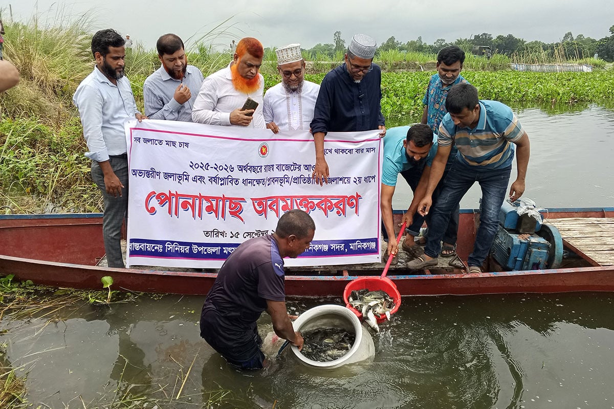 মানিকগঞ্জে কালীগঙ্গা নদীতে পোনামাছ অবমুক্ত