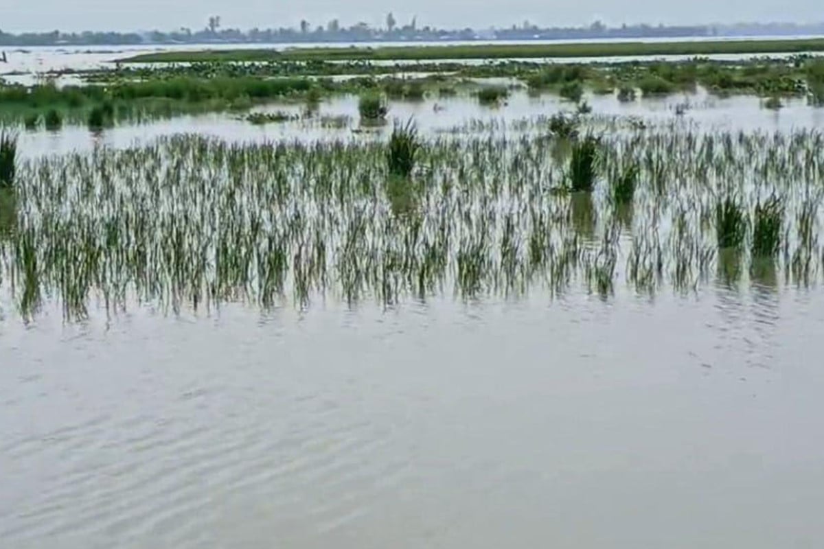 কুড়িগ্রামে বন্যায় নিম্নাঞ্চল প্লাবিত