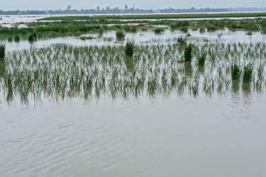কুড়িগ্রামে বন্যায় নিম্নাঞ্চল প্লাবিত