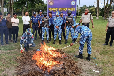 চাঁদপুরে জব্দকৃত ৬০ কেজি গাঁজা ধ্বংস