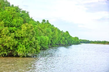 ব্যতিক্রমী ইকোসিস্টেম বিদ্যুৎ কেন্দ্র এলাকায়