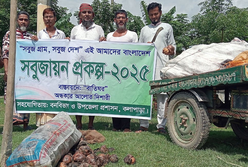 কলাপাড়ায় দেড় হাজার তালের বীজ রোপণ