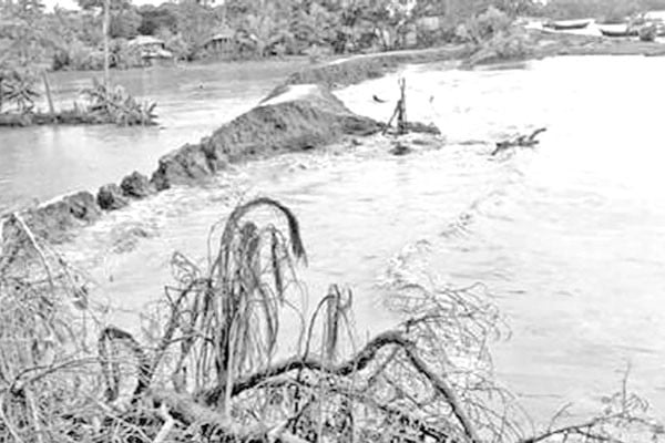 টানা বৃষ্টি জোয়ার বেড়িবাঁধ বিধ্বস্ত