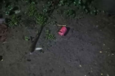 খুলনায় বিএনপি নেতার বাড়িতে হামলার প্রতিবাদে বিক্ষোভ আজ