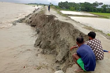 কলাপাড়ায় সাড়ে চার কিলোমিটার বেড়িবাঁধ বিধ্বস্ত, শঙ্কায় কৃষকরা
