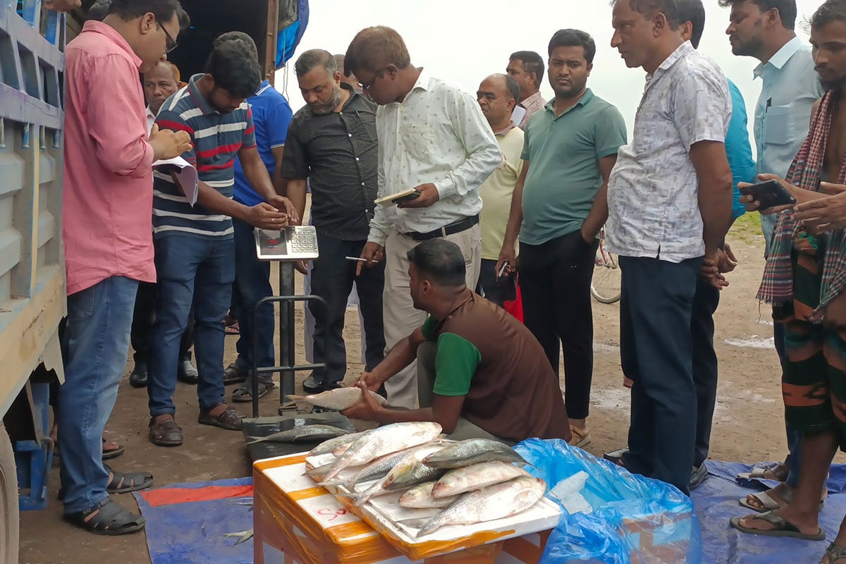 আখাউড়া স্থলবন্দর দিয়ে আগরতলায় গেল ১,১৯২ কেজি ইলিশ