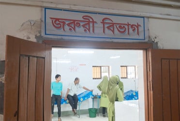 চাঁদপুরে হাতুড়ির আঘাতে বড় ভাইয়ের মৃত্যু