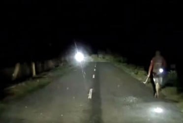 সড়কে গাছ ফেলে অভিনব কায়দায় ডাকাতির চেষ্টা