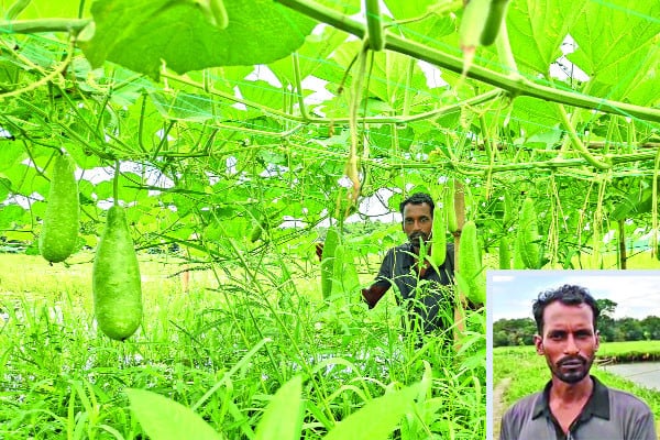 আধুনিক কৃষির উদাহরণ