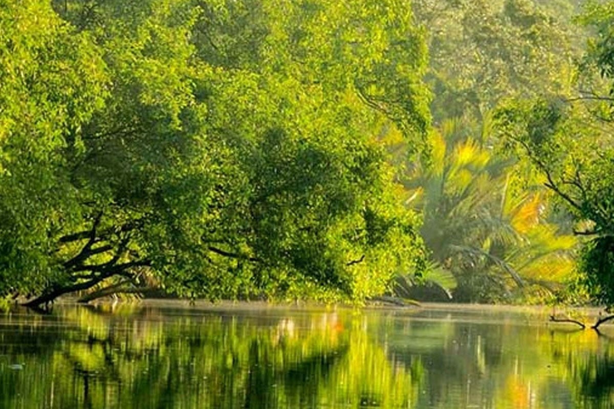 সুন্দরবনে বিদেশি পর্যটকের মৃত্যু