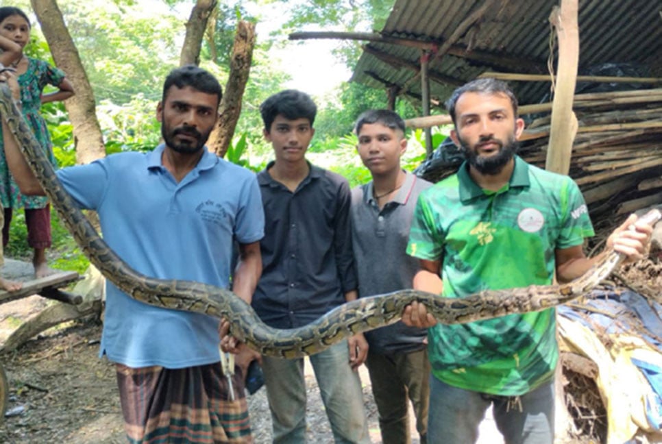 ৮ ফুট লম্বা অজগর উদ্ধার