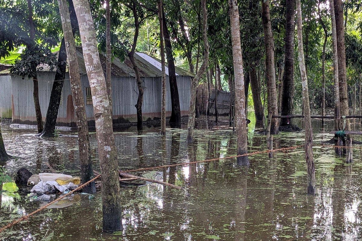 পানি নিষ্কাশনের পথ বন্ধ, বড়াইগ্রামে দুইশ’ পরিবার পানিবন্দী
