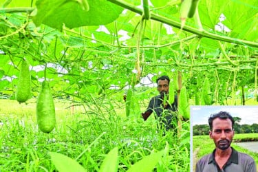আধুনিক কৃষির উদাহরণ