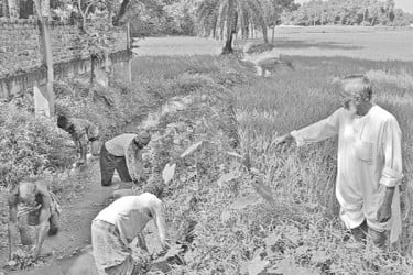 সরু খাল বদলে দিয়েছে কৃষিচিত্র