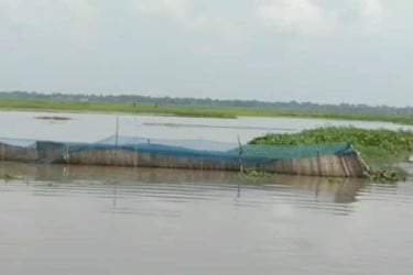 সরাইলে সরকারি খালে বাঁধ দিয়ে মাছ নিধনের অভিযোগ