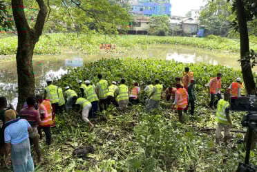 নেত্রকোনায় ধলাই নদীর প্রাণ ফেরাতে কচুরিপানা পরিষ্কার অভিযান শুরু