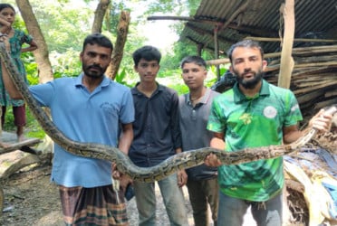 ৮ ফুট লম্বা অজগর উদ্ধার