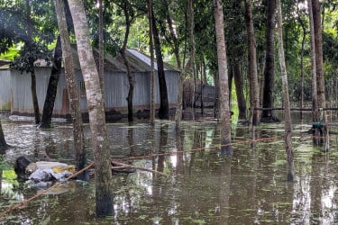 পানি নিষ্কাশনের পথ বন্ধ, বড়াইগ্রামে দুইশ’ পরিবার পানিবন্দী