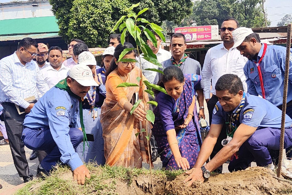 ঠাকুরগাঁওয়ে সড়ক ডিভাইডারে বৃক্ষরোপণ জেলা স্কাউটসের