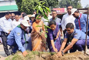 ঠাকুরগাঁওয়ে সড়ক ডিভাইডারে বৃক্ষরোপণ জেলা স্কাউটসের