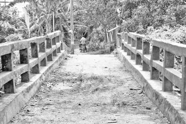 সেতুটি এখন ভোগান্তির কারণ