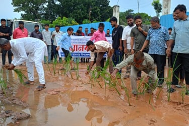 খাগড়াছড়িতে সড়কে ধানের চারা রোপণ করে প্রতিবাদ