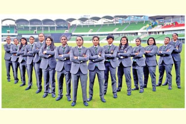নিগারদের বিশ্বকাপ যাত্রা