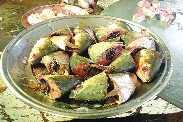 ইলিশের মাথার কেজি ৮০০ টাকা