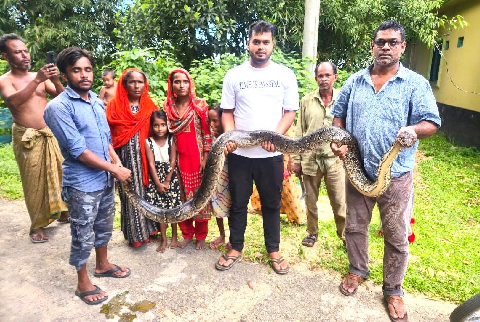 শ্রীমঙ্গলে ১৪ ফুট লম্বা অজগর সাপ উদ্ধার